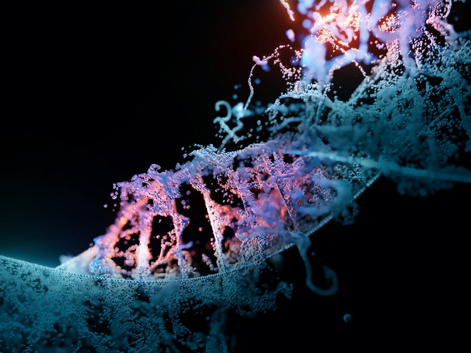 Precision-Longevity-6